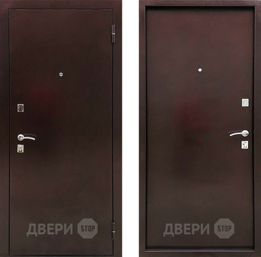 Дверь Ратибор Дачная металл/металл в Луховицах