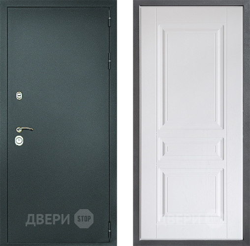 Входная металлическая Дверь Дверной континент Рубикон Серебро Дизайн ФЛ-243 Альберо Браш серебро в Луховицах